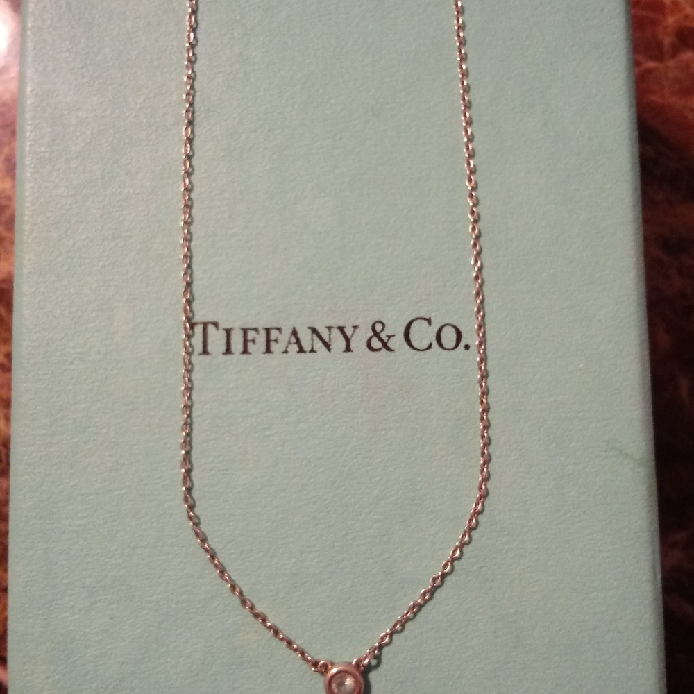 Tiffany & Co. Color By the Yard Necklace